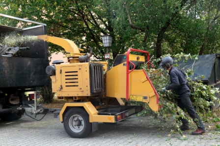Tree Chipping service innisfil